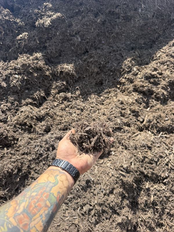 Brown mulch